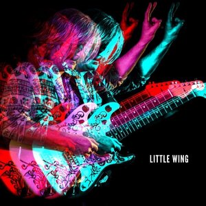 Little Wing