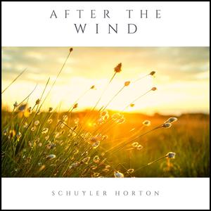 After the Wind