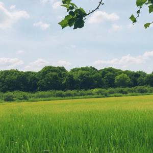 既然你已不爱我