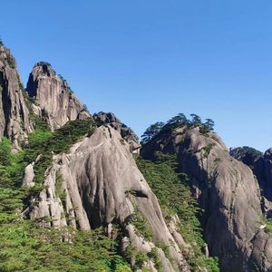 治愈晚风下的宁静之约