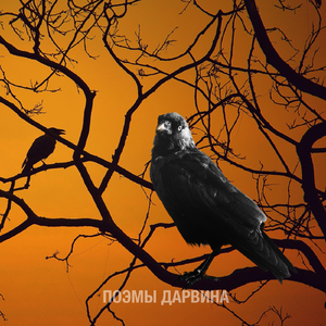 Недобрая Байка