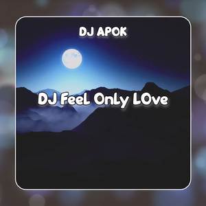 DJ Feel Only Love