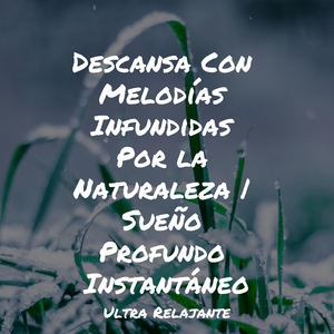 Amor En El Crepúsculo