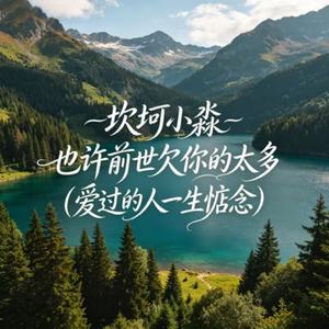 也许前世欠你的太多(爱过的人一生惦念)