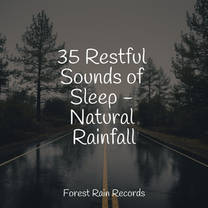 Underwater, River, Flowing