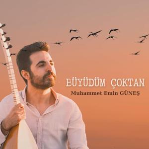 Büyüdüm Çoktan
