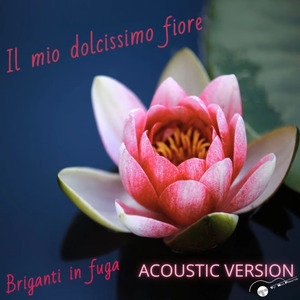 Il mio dolcissimo fiore (Acoustic)
