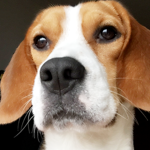 没有暖气的日子-dry