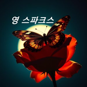 미소의 방패