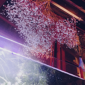 荒唐爱情（民谣版Demo）