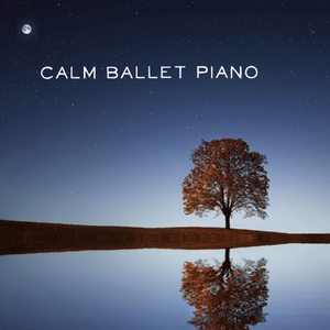 Plié #1 (8X8) G. Donizetti