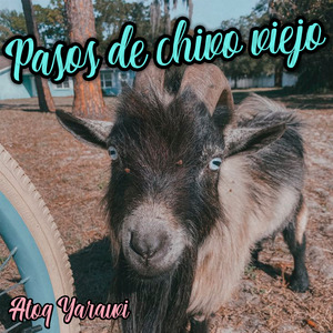 Pasos del Chivo Viejo