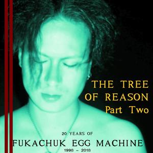 Jungle Shoes (Waiting Around in Buildings 2013)