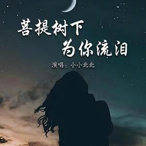 菩提树下为你流泪