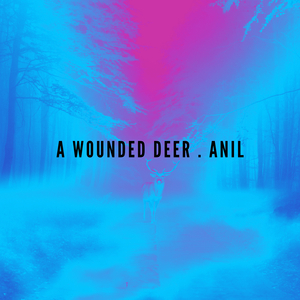 A Wounded Deer