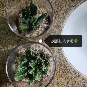 摸摸仙人掌吧QAQ