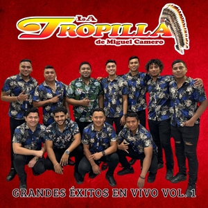 La Boda del Cuitlacoche / El Toro Meco / Pica Perica / Cuando Toco el Sax