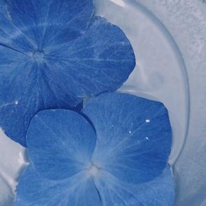 云压雨—落日微醺版