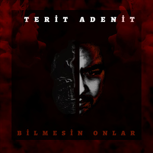 Bilmesin Onlar
