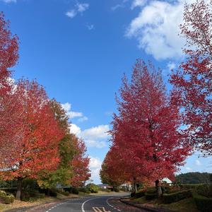 あたりまえ は たいせつに