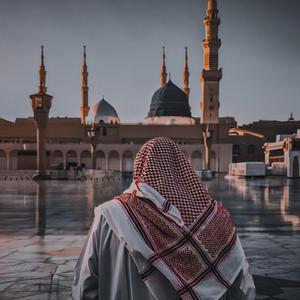 Biwi ko satate ho Tumhe Sharm Nahi Aati Ab Biwi Ki Shan Sumaiya Ghazala