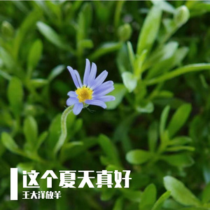 青春的轰鸣2026摩托狂想曲