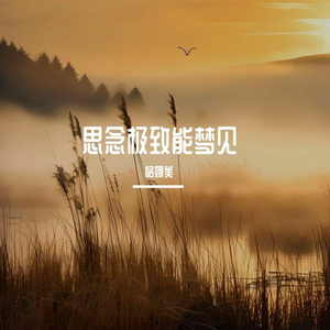 我该怎么忘掉啊