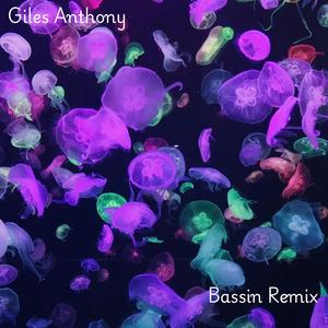 Bassin (Remix)