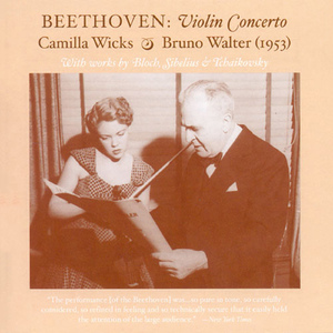 Violin Concerto in D Minor, Op. 47: III. Allegro ma non tanto