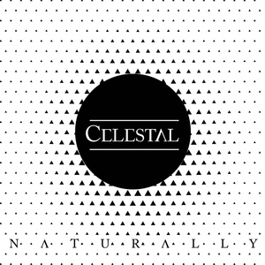 Naturally (B-Case Extended Mix)