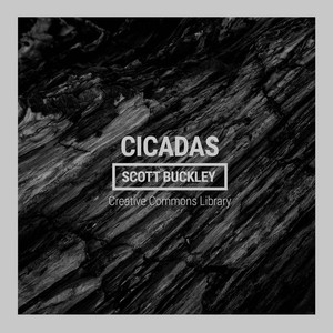 Cicadas