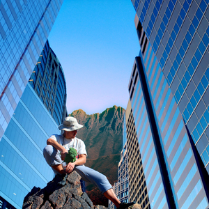 Attack of the Cashflow