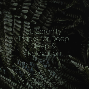 Mystic Seafarer's Calling