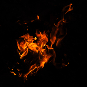 Like a Phoenix