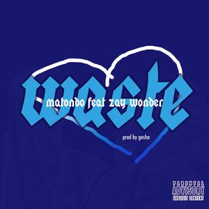 Waste (feat. Zay Wonder)
