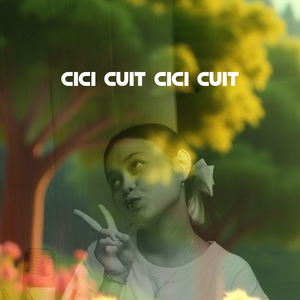 Cici Cuit Cici Cuit
