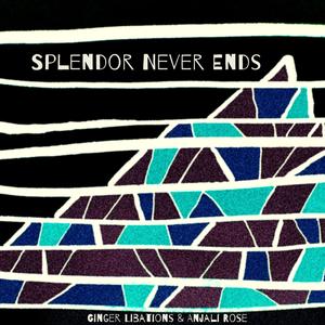Splendor Never Ends (radio edit) (radio edit)
