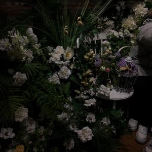 溜出去吃牛蛙面的那天