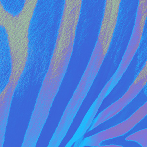 BabyBlue (Remastered 2025)