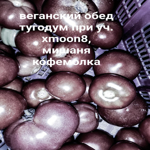 Веганский обед (feat. Xmoon8, мишаня кофемолка)