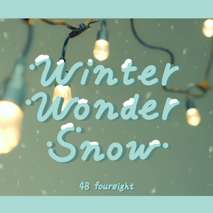 Winter Wonder Snow