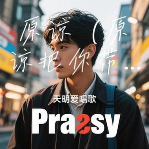 原谅（Cover 王贰浪）