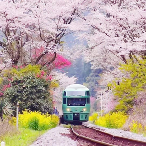 开往春天的地铁（1.1x）