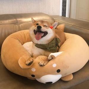 群星-飞翔吧（Emotion remix）