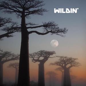 WILDIN' (Remastered)
