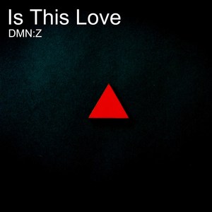 Is This Love (Instrumental Version)