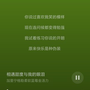 相遇甜度与我的眼泪