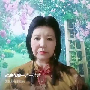 问风问雨问问你