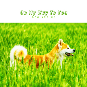 너를 향해 가는 중