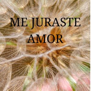 ME JURASTE AMOR